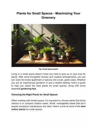 Plants for Small Spaces - Maximizing Your Greenery