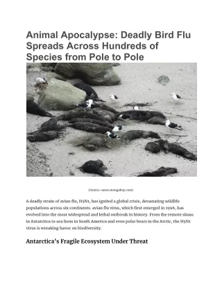 Animal Apocalypse_ Deadly Bird Flu Spreads Across Hundreds of Species from Pole to Pole