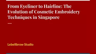 From Eyeliner to Hairline: The Evolution of Cosmetic Embroidery Techniques in SG