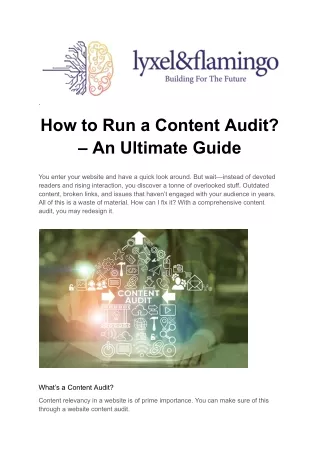 Enhance Your Strategy with Lyxel & Flamingo's Expert Content Audit