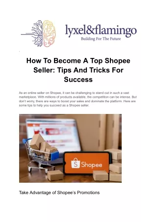 Become a Successful Shopee Seller with Lyxel & Flamingo’s Guidance