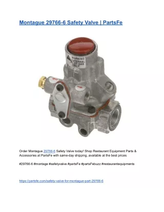 Montague 29766-6 Safety Valve _ PartsFe