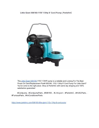 Little Giant 506160 Cord Pump _ PartsHnC