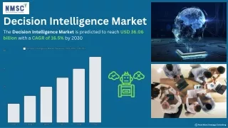 Decision Intelligence Market: Future Growth and Trends