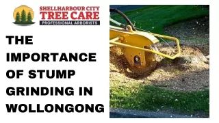 The Importance of Stump Grinding in Wollongong