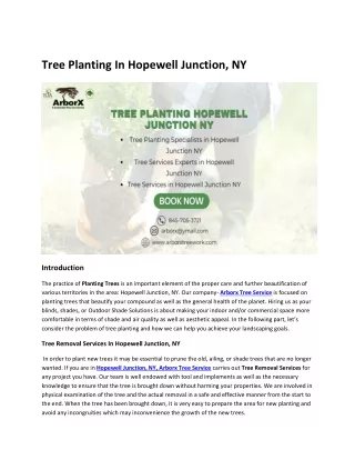 Tree Planting In Hopewell Junction
