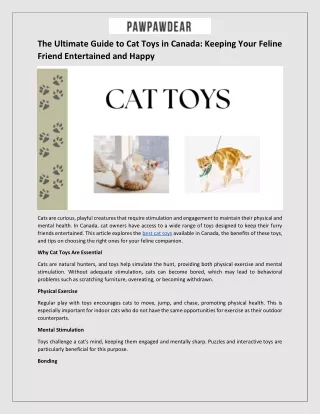 The Ultimate Guide to Cat Toys in Canada - Keeping Your Feline Friend Entertained and Happy