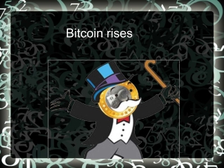 Bitcoin rises