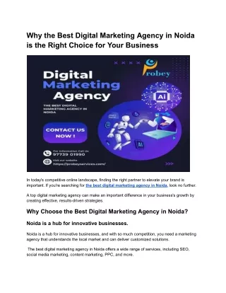 Why the Best Digital Marketing Agency in Noida is the Right Choice for Your Busi
