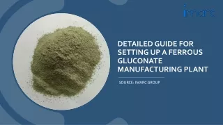 Report on a Ferrous Gluconate Manufacturing Plant PDF