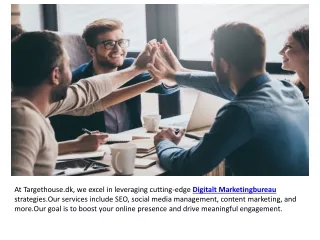 SEO Leverandør and Digital Marketing