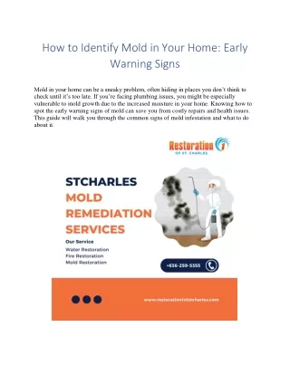 How to Identify Mold in Your Home: Early Warning Signs