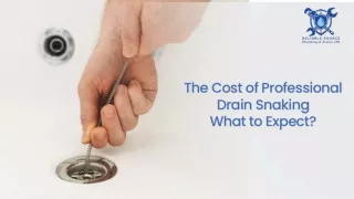 The Cost of Professional Drain Snaking What to Expect