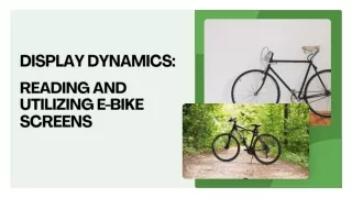 Display Dynamics: Reading and Utilizing E-Bike Screens