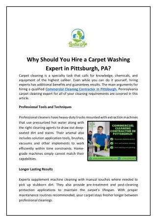 Why Should You Hire a Carpet Washing Expert in Pittsburgh, PA?