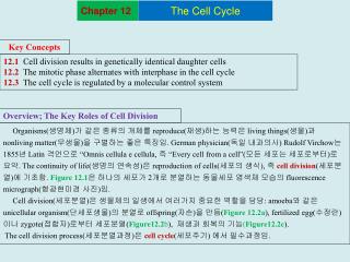 Key Concepts