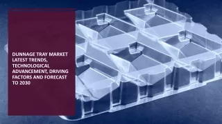 Global Dunnage Tray Market Key Players Competitive Survey Report 2024