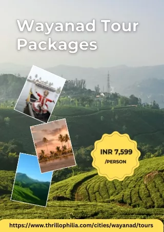 Wayanad Tour Packages