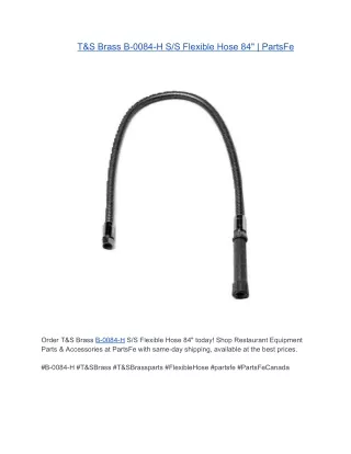 T&S Brass B-0084-H S/S Flexible Hose 84" | PartsFe