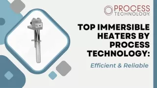 Top Immersible Heater by Process Technology: Efficient & Reliable