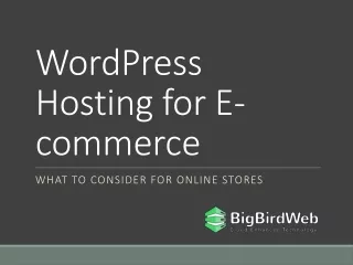 WordPress Hosting for E-commerce