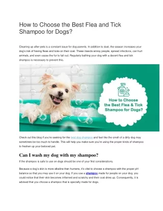 How to Choose the Best Flea and Tick Shampoo for Dogs