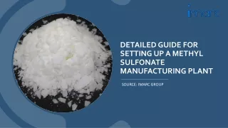 Methyl Sulfonate Manufacturing Plant Project Report: PDF