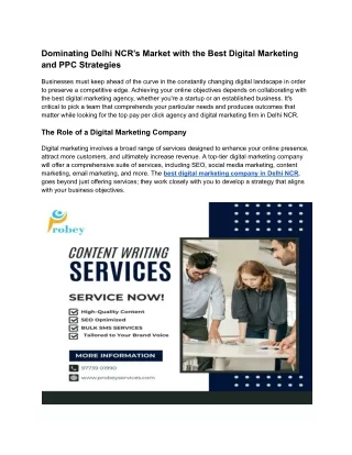 Dominating Delhi NCR’s Market with the Best Digital Marketing and PPC Strategies