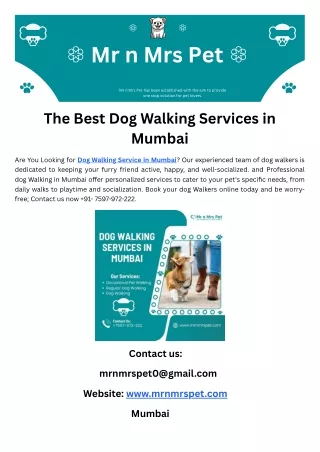 The Best Dog Walking Services in Mumbai