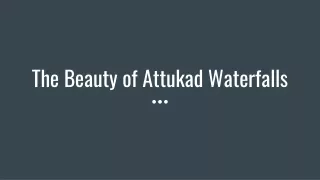 The Beauty of Attukad Waterfalls