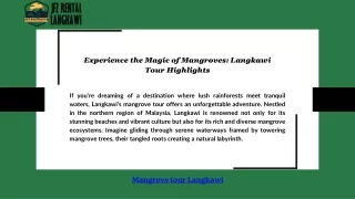 Experience the Magic of Mangroves: Langkawi Tour Highlights