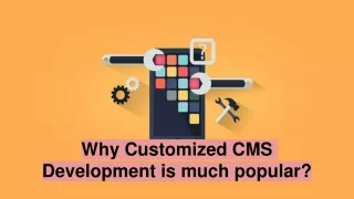 Why Customized CMS Development is much popular_
