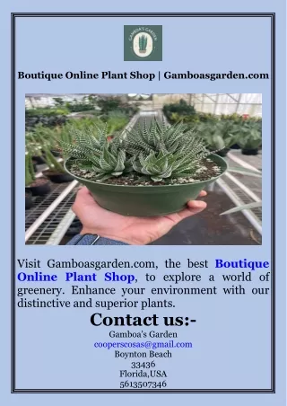 Boutique Online Plant Shop  Gamboasgarden.com