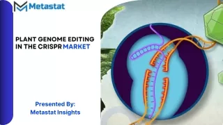 Plant Genome Editing in the CRISPR Market Size, Share, Growth and Forecast 2031