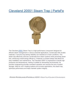 Cleveland 20551 Steam Trap _ PartsFe