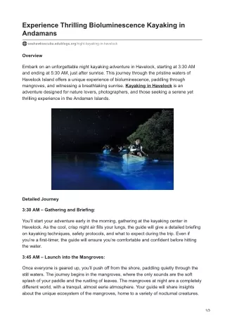 Explore Bioluminescence Night kayaking in Havelock, Andaman Islands