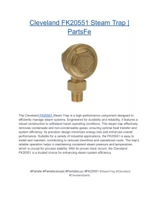 Cleveland FK20551 Steam Trap _ PartsFe