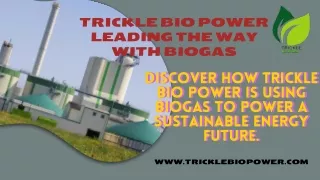 Trickle Bio Power: The Future is Biogas