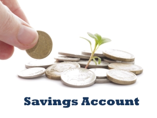 Savings Account