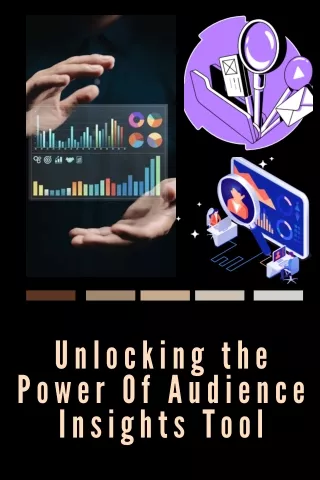 Unlocking The Power Of Audience Insights Tool