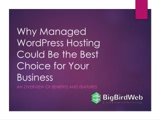 Why Managed WordPress Hosting Could Be the Best Choice for Your Business