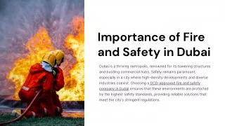 Importance-of-Fire-and-Safety-in-Dubai.pptx