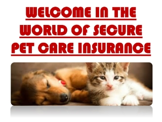 Pet Insurance Quote