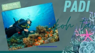 scuba diving koh tao | The Dearly Koh Tao