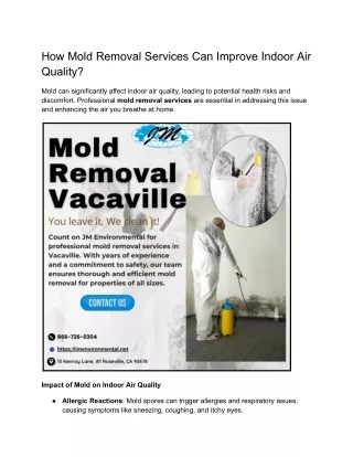 How Mold Removal Services Can Improve Indoor Air Quality