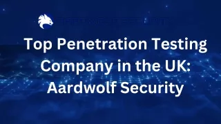 Leading UK Experts in Penetration Testing: Aardwolf Security