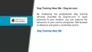 Dog Training Near Me  Dog-ter.com