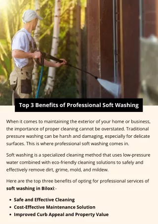 Top 3 Benefits of Professional Soft Washing