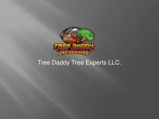 Tree Daddy Tree Experts LLC: Your Go-To Solution for the Best Local Tree Service