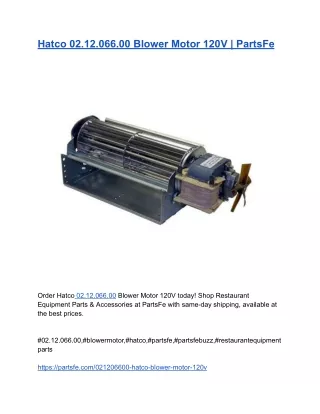 Hatco 02.12.066.00 Blower Motor 120V | PartsFe